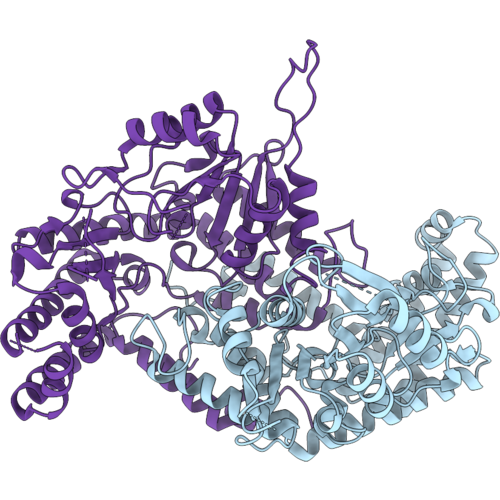 32JC image