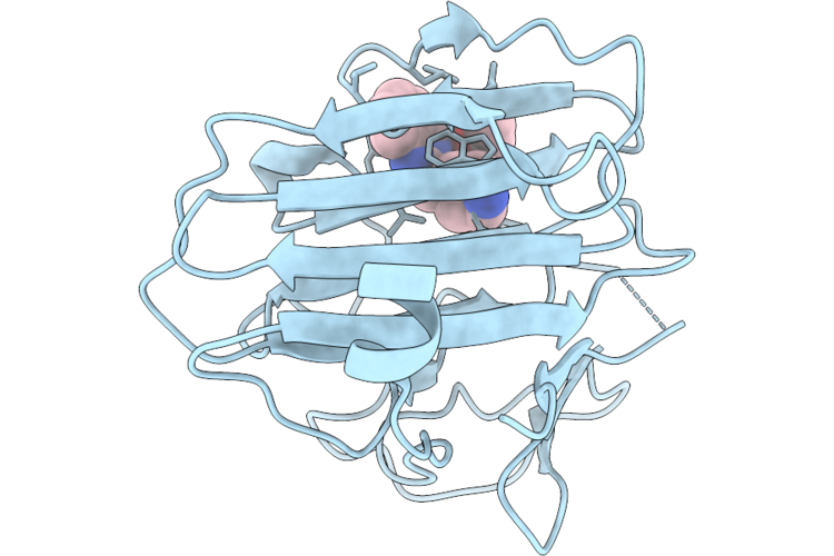 32QP image