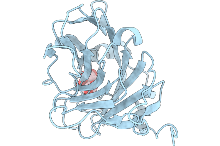 32RM image