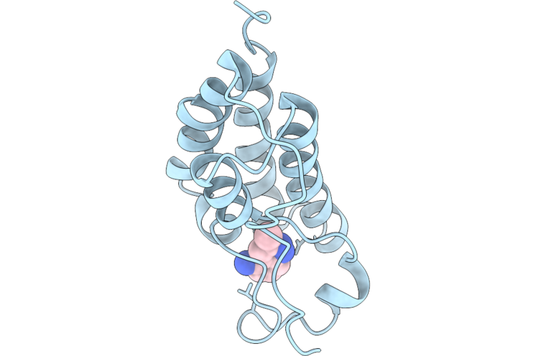 32RX image