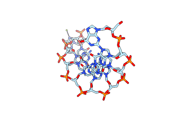 335D image