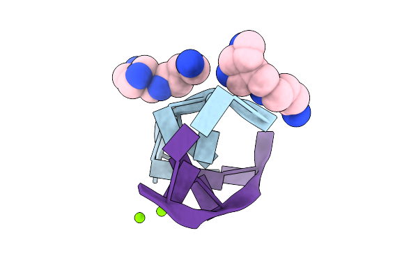 336D image
