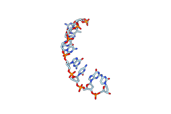 338D image