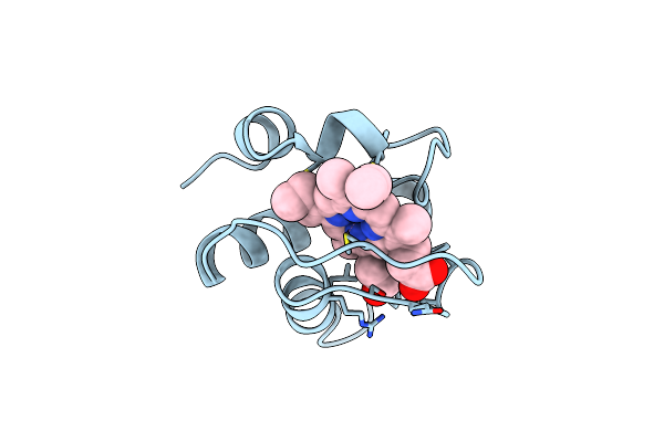 351C image