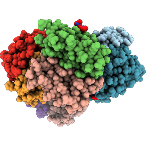 35SB image