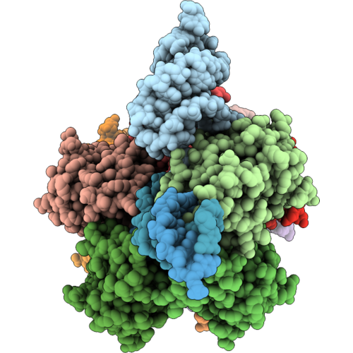 35TR image