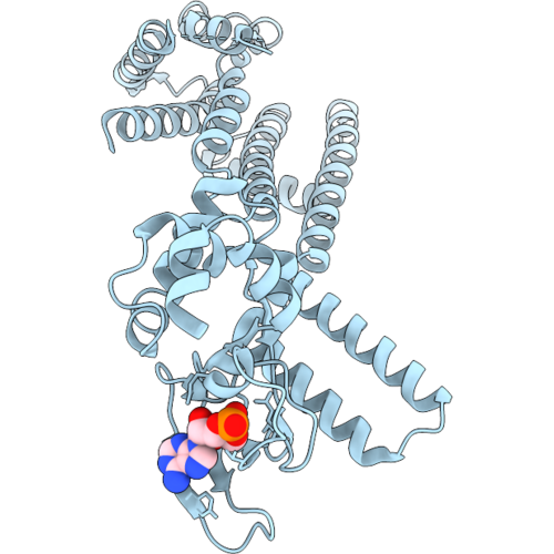 35VD image