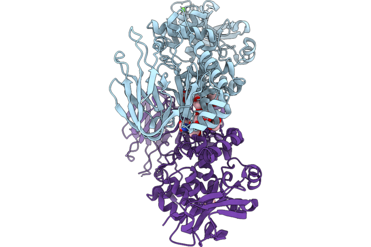 35YM image