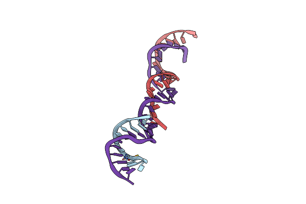 364D image