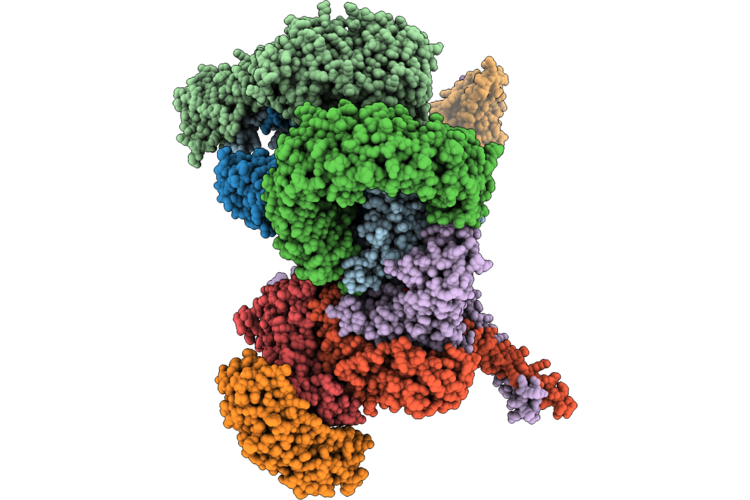 36BM image