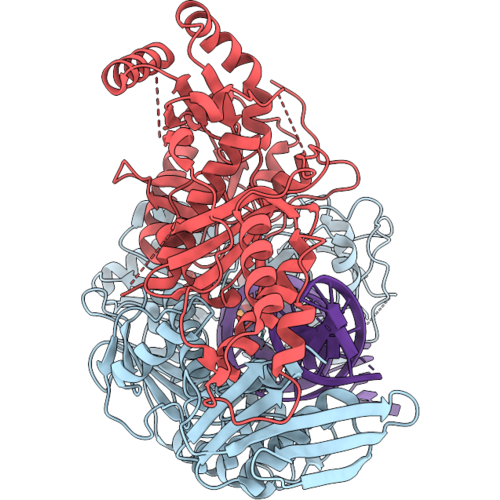36BT image