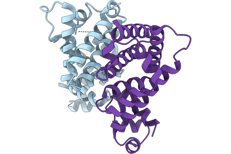 36CD image