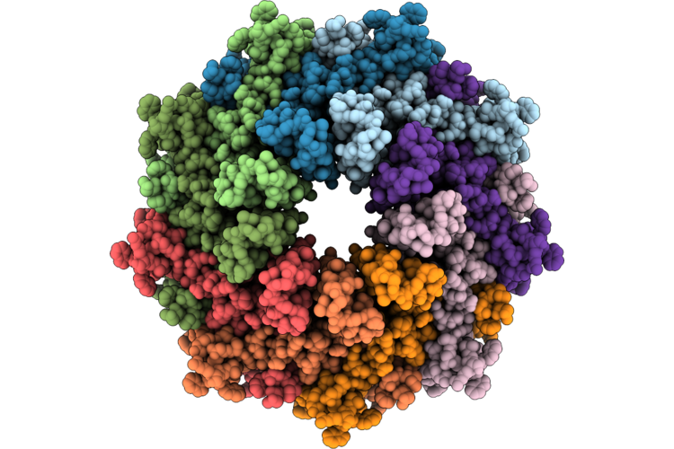 36HW image