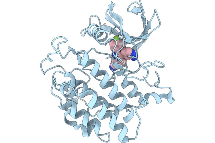 36JC image
