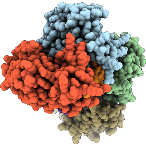 36PD image