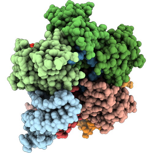 36PE image