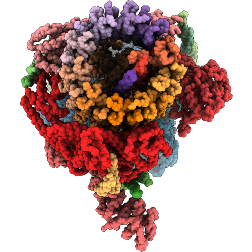 36QX image