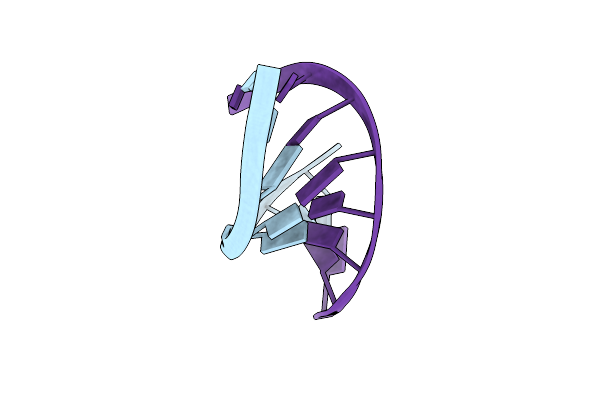 371D image