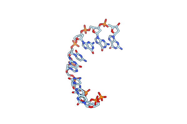 372D image