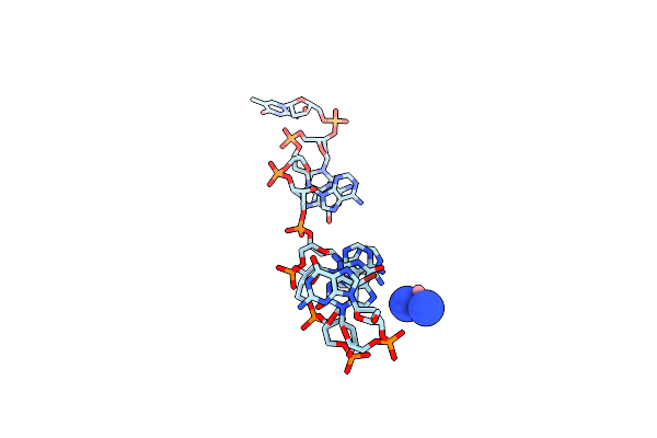 376D image