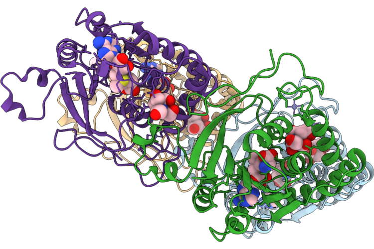 37BG image