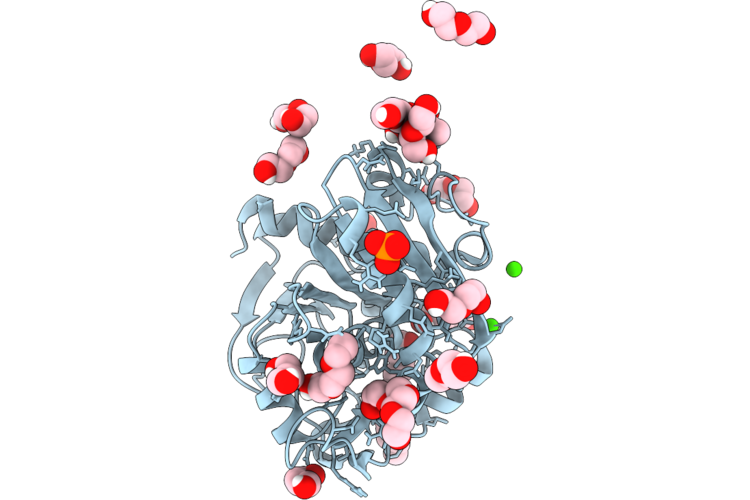 37CB image