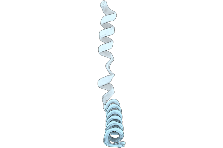 37CT image