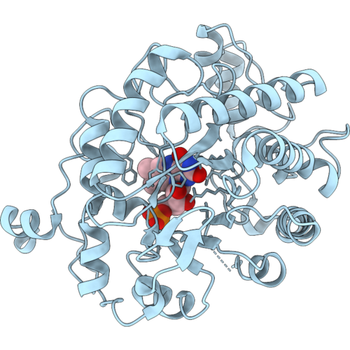 37FX image