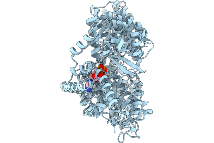 37IB image