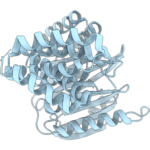 37SN image