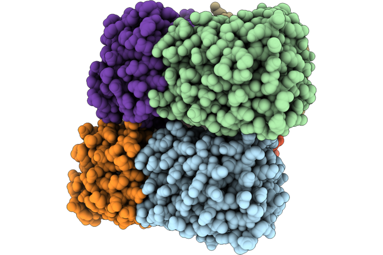 37TT image