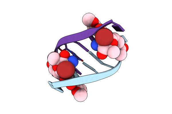 381D image