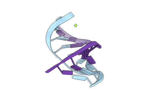 384D image