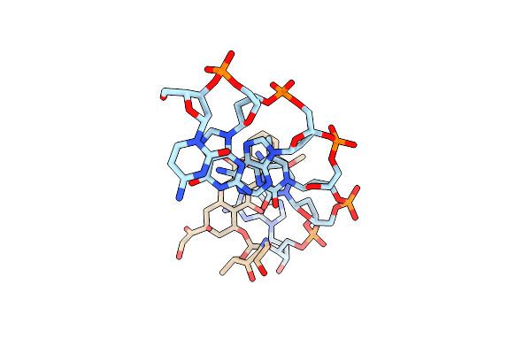 385D image