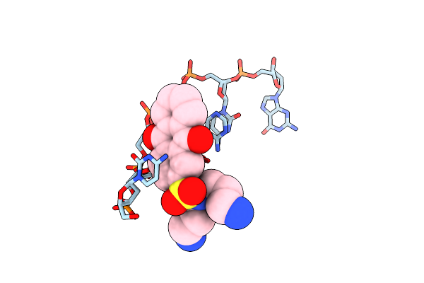 386D image