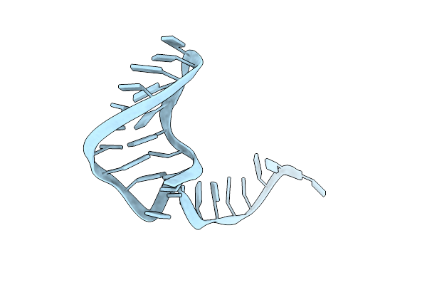 387D image