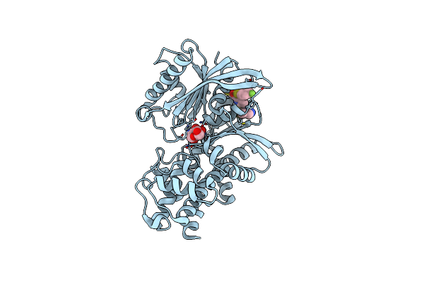 3A0I image