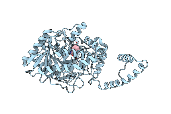 3A1I image