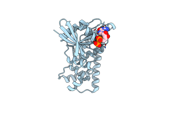 3A1T image