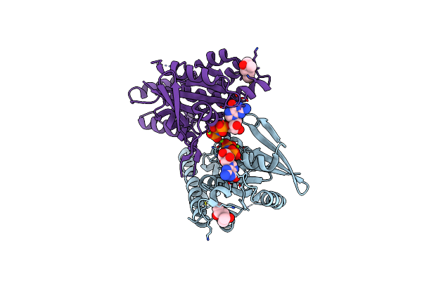 3A1U image