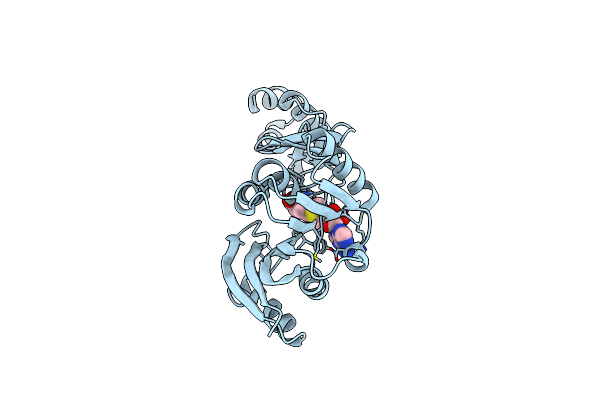 3A25 image
