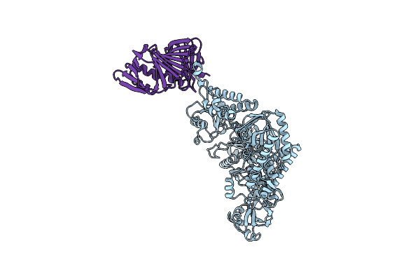 3A2F image