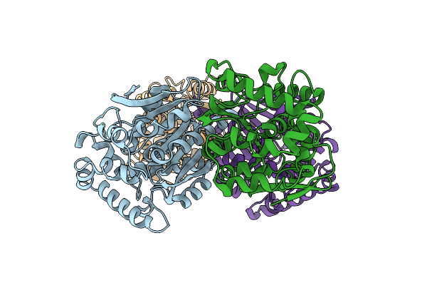 3A2N image