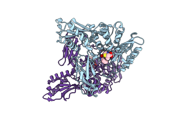 3A3I image