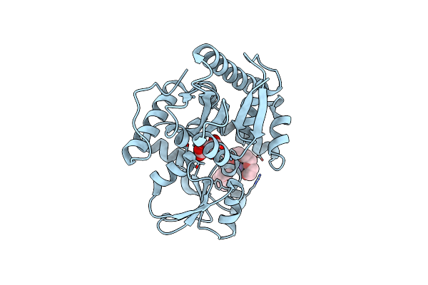 3A3U image