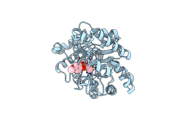 3A3W image