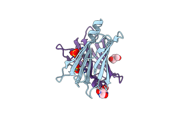 3A4D image