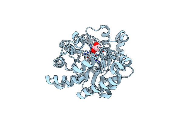 3A4J image