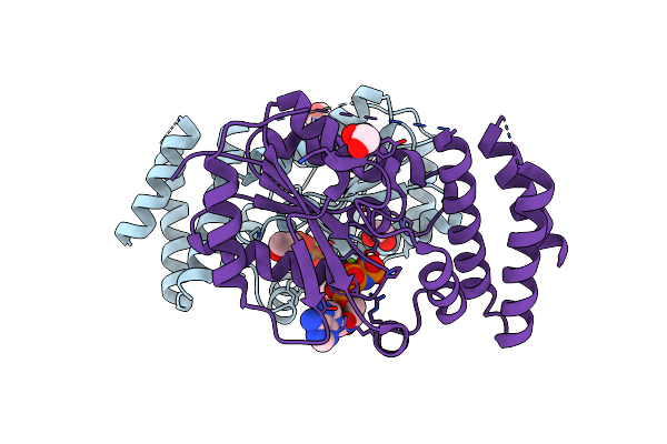 3A4L image
