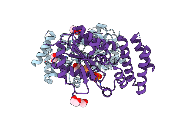 3A4N image